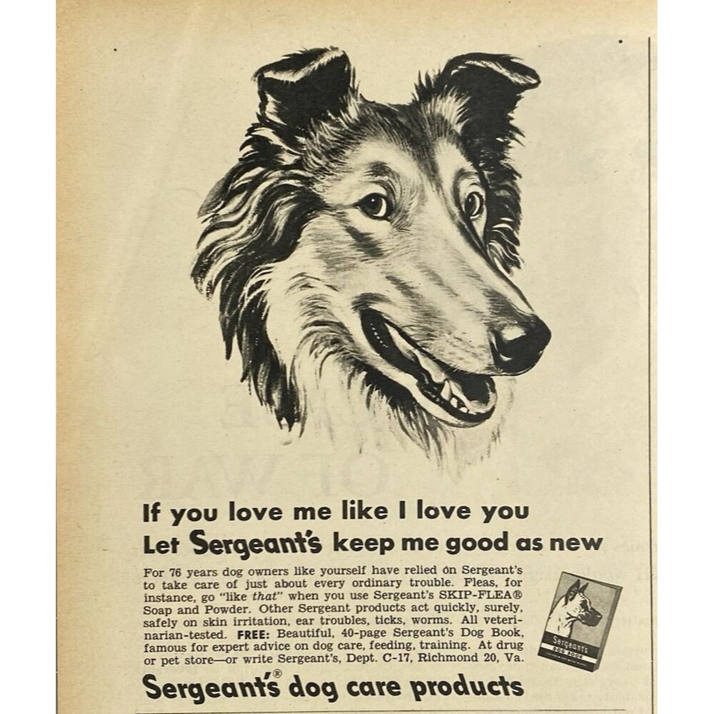 Sergeant's Dog Care Products Free Dog Book "Shows drawing of Collie Print Ad '51